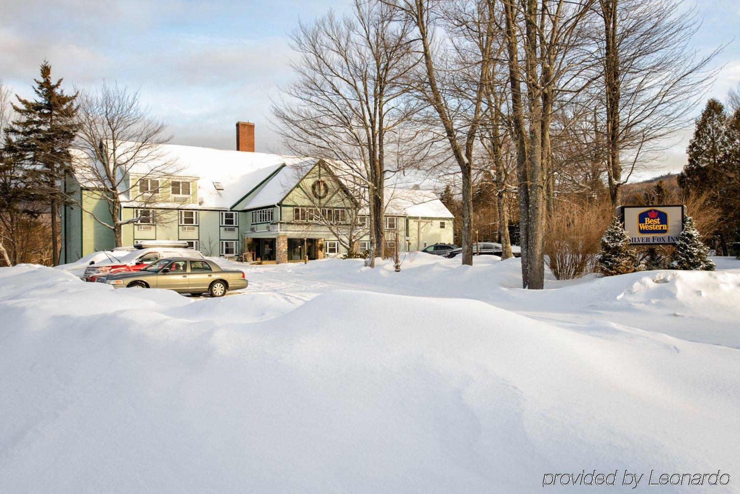Silver Fox Inn Waterville Valley Exteriör bild